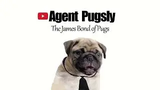 PUG TALKING- TRY NOT TO LAUGH FUNNY PUG DOG VIDEOS - AGENT PUGSLY