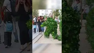 Bushman Prank Public #epicprank #bushmanprank #gotcha #funny #bushmanscare #prankster