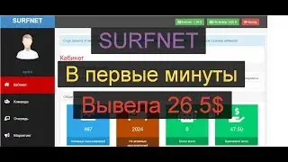 Мой отзыв SURFNET PRO.РЕКЛАМНАЯ ПЛОЩАДКА С ЖИВОЙ ОЧЕРЕДЬЮ.ВХОД 0.2$