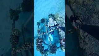 🖤 #underwater #freediver #freediving #ocean