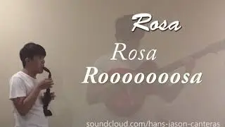 Horatio Velveteen - Rosa Rosa Rosa (JSax Cover)