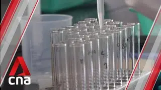 COVID-19: India's Health Ministry says several vaccines may be approved by year-end