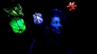 Erth's Prehistoric Aquarium at Auckland Museum