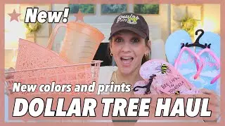 DOLLAR TREE HAUL *BRAND NEW SPRING ORGANIZATION COLLECTION* 2021