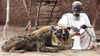 5 Cute Animals That Are Actually Dangerous | Indian Fact Boy