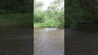 Парк Эриндейл в Миссиссоге | Места для городской рыбалки