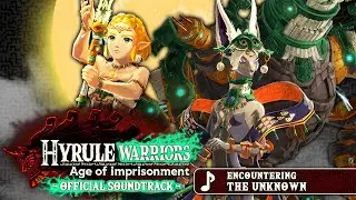 Encountering the Unknown - Hyrule Warriors: Age of Imprisonment [OST]