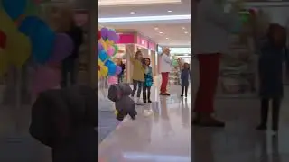 Cute Animals Take Over the Mall in the Cutest Way Possible!
