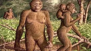 Evolutionary Timeline of Homo Sapiens |आदिमानव से इंसान तक का सफर | journey from early man to human
