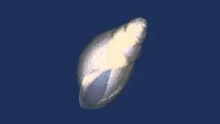cave snail uCT scan 2um