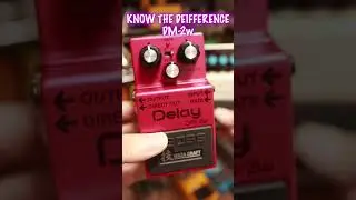 BOSS DM-2wとDD-3の違い🎸アナログとデジタル #bosspedals #bossdd3 #bossdm2w #seabird #チバカン楽器 #bosseffects #shorts
