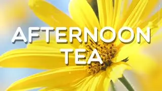 Afternoon tea, Level 403, Word Crush Answers, FullHD 60 fps.