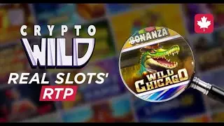 Real RTP and CryptoWild Casino's Review