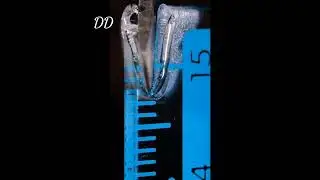 omg ( Scale melt ) slow motion