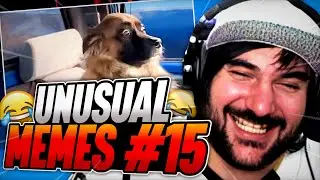 PUTUPAU REACCIONA a UNUSUAL MEMES COMPILATION #15