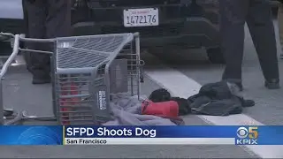 San Francisco Police Shoot Dog Near Market Street