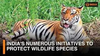 India's numerous initiatives to protect wildlife species | DD India