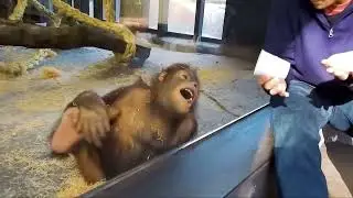 Epic moment of animals