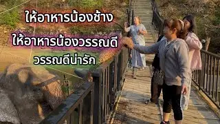 เที่ยวหมู่บ้านมอญ#ให้อาหารช้าง#ครั้งแรกชิมลูกโกโก้#ชมต้นโกโก้#Mon#village 