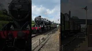 Perfect timing, catching the 8F! 😍 #train #modelrailwayscene #oogauge