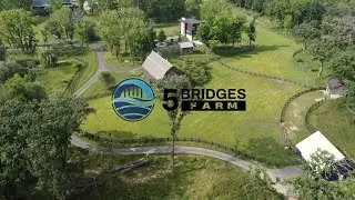 Five Bridges Farm