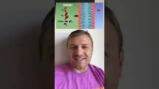 Selectively Permeable  Animation