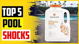 Top 5 Best Pool Shocks In 2022