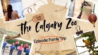 The Calgary Zoo Vlog | Shopping Time | Family Trip