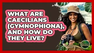 What Are Caecilians (Gymnophiona), And How Do They Live? - Reptilian Wonders