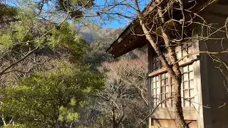 R8新春 雷神社から下社へ