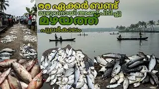 part 2 Kerala fishing, മീൻപിടുത്തം kerala Rainy traditional fishing 2022/ kerala mansoon fishing