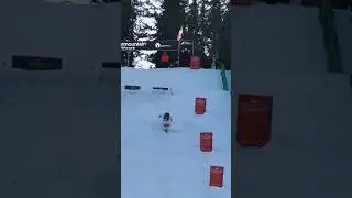 Tha HARDEST course on the WORLDCUP tour. Here's my finals run!🤟🏻⛷️💨 #skiing #moguls  #worldcup