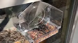 Window Bird Feeder with Strong Suction Cups, Clear Window Feeders for Outside Review