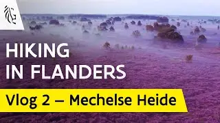 Long distance hiking trail at National Park Hoge Kempen in Limburg &ndash; Vlog 2