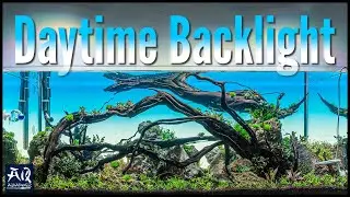 Beleuchtete Rückwand für wirklich jedes Aquarium | AquaOwner
