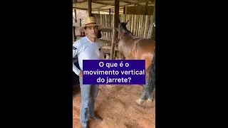 Aperana responde 💬: O que é movimento vertical do jarrete?