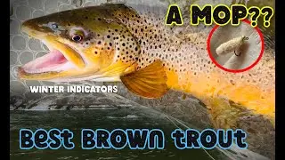 Mop Fly Produces My Biggest Brown Trout | Winter Fly Fishing in Upstate NY