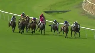 Ascot WA Horse Racing 2026 Thursday January 1