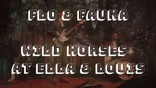 Flo & Fauna - Wild Horses (live at Ella & Louis)