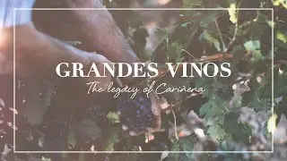 V&iacute;deo conmemorativo del 25 aniversario de Grandes Vinos