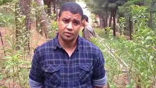 Community Participatory Agriculture, Fruit Tree Nursery, High Atlas Foundation