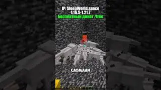 Игрок убил мою собаку но я #minecraft #копиярилливорлда #reallyworld #гриф