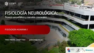 3.1 Tronco encefálico y nervios craneales | Fisiología Neurológica