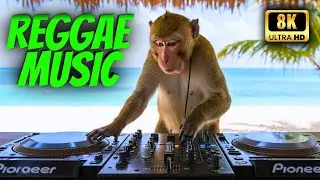 Jamaican monkey - Reggae DJ - CHILL OUT REGGAE