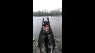 Huge hooks for huge fish.