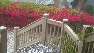 Hail at Hilton Head 2018
