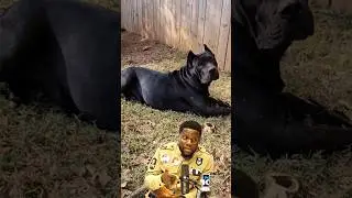 Do She Look Like She Bites 🤯