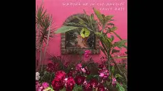 Fruit Bats - Waking Up in Los Angeles (Official Audio)