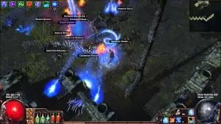 Path of Exile [1.1.4] Elemental power siphon 