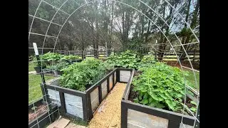 From Seed to Garden with the Old Farmer's Almanac... Success or FAILURE???